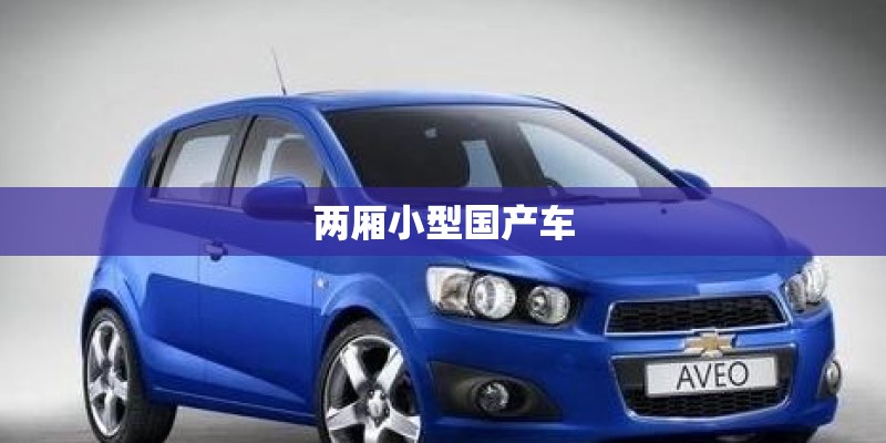 两厢小型国产车