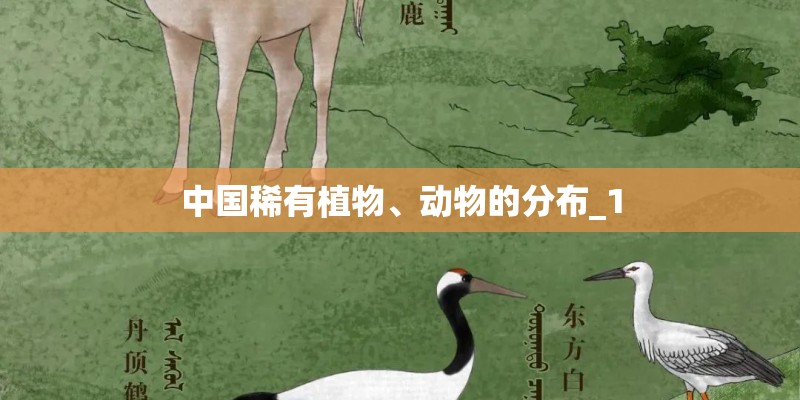 中国稀有植物、动物的分布_1