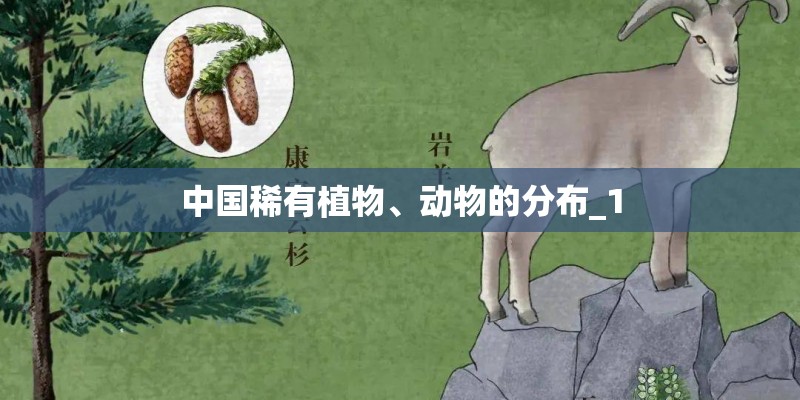 中国稀有植物、动物的分布_1