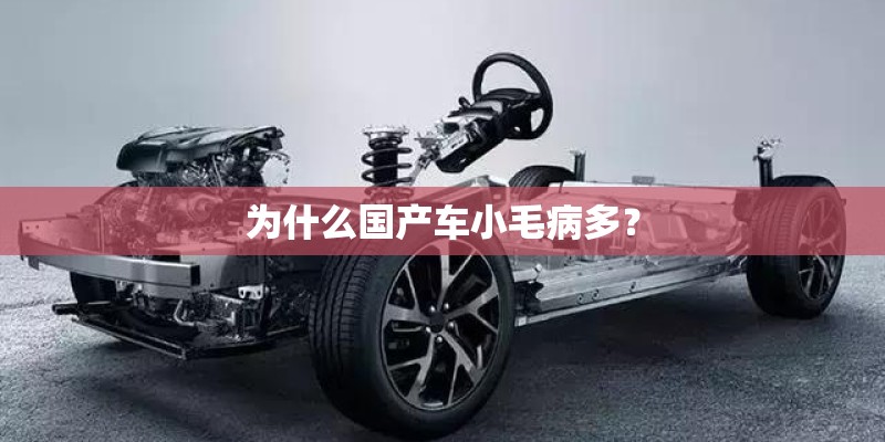 为什么国产车小毛病多？
