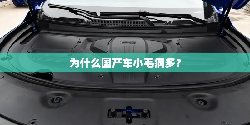 为什么国产车小毛病多？