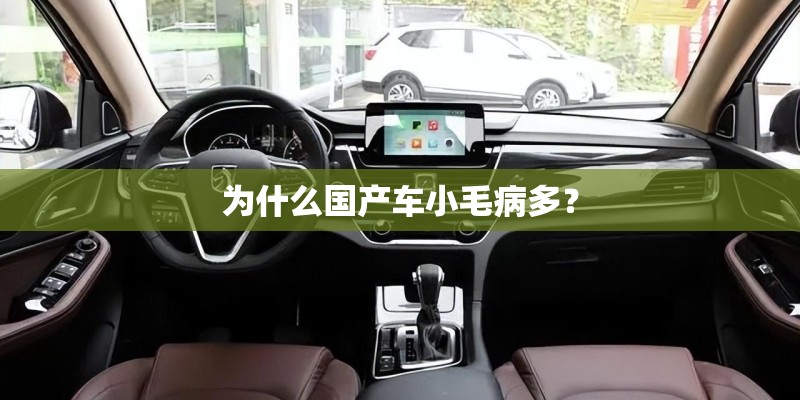 为什么国产车小毛病多？