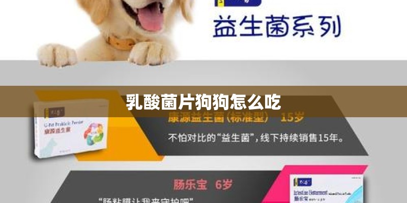 乳酸菌片狗狗怎么吃