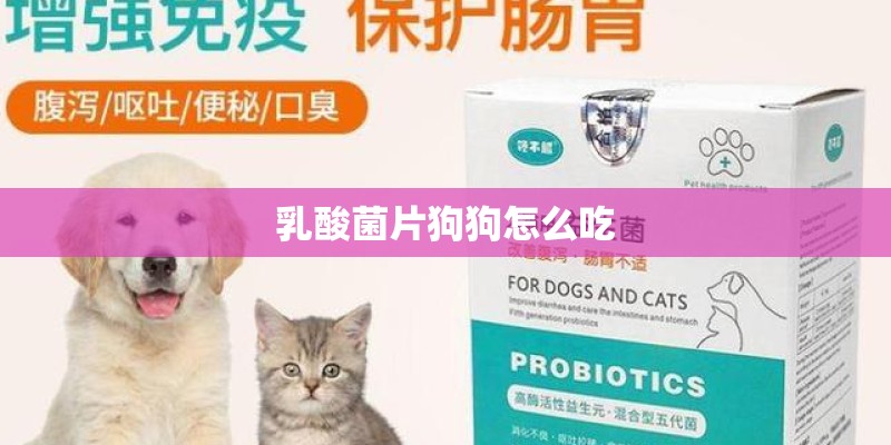 乳酸菌片狗狗怎么吃