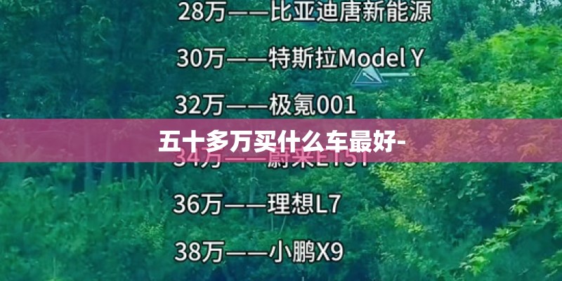 五十多万买什么车最好-