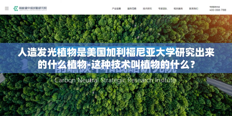 人造发光植物是美国加利福尼亚大学研究出来的什么植物-这种技术叫植物的什么？