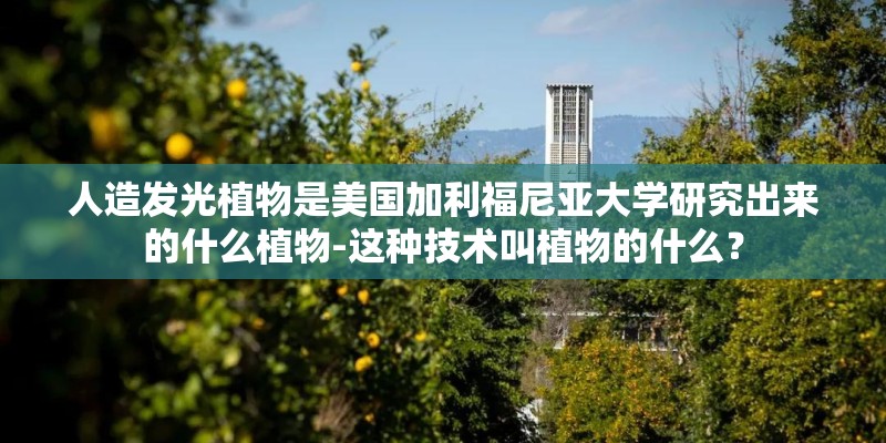 人造发光植物是美国加利福尼亚大学研究出来的什么植物-这种技术叫植物的什么？