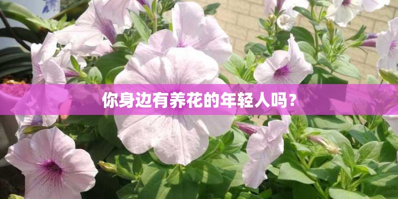 你身边有养花的年轻人吗？