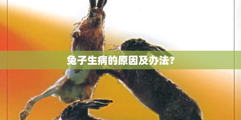 兔子生病的原因及办法？