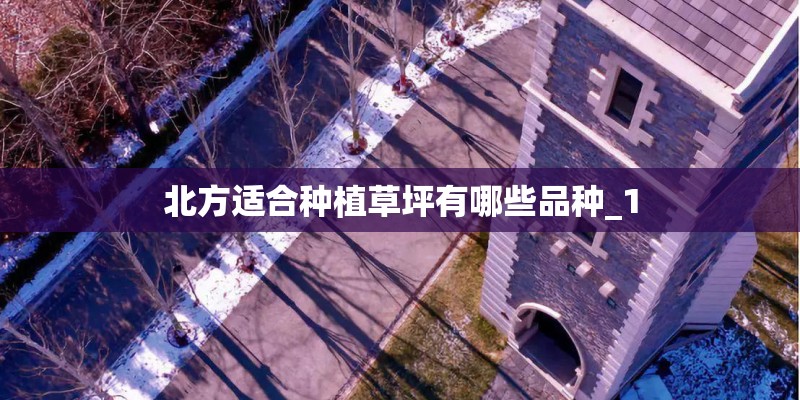 北方适合种植草坪有哪些品种_1
