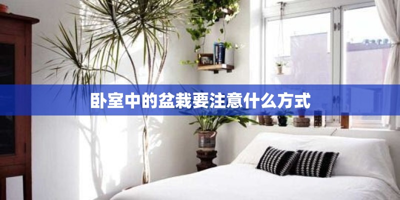 卧室中的盆栽要注意什么方式