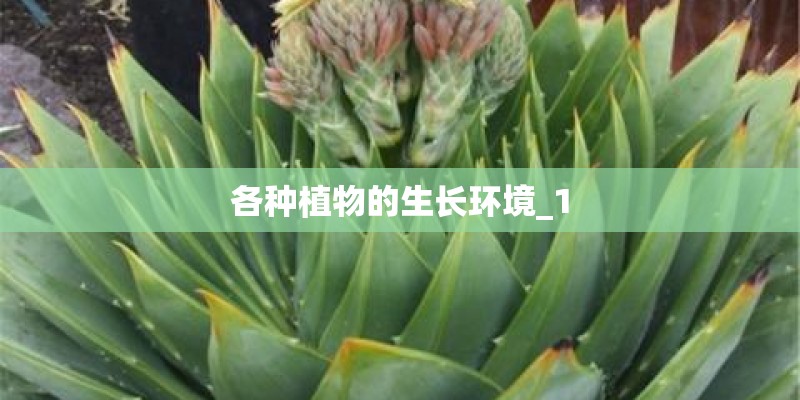 各种植物的生长环境_1