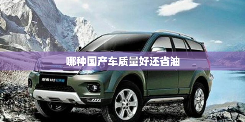哪种国产车质量好还省油