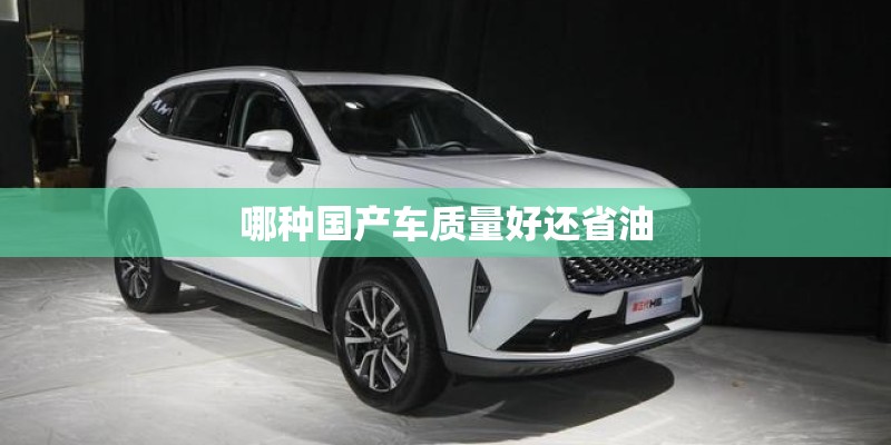 哪种国产车质量好还省油
