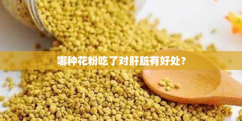 哪种花粉吃了对肝脏有好处？