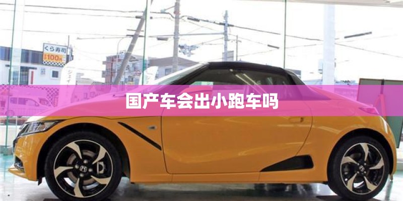 国产车会出小跑车吗