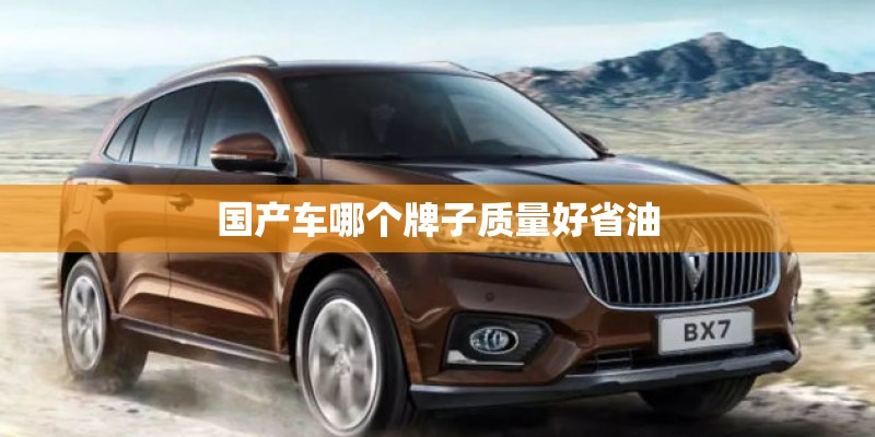 国产车哪个牌子质量好省油