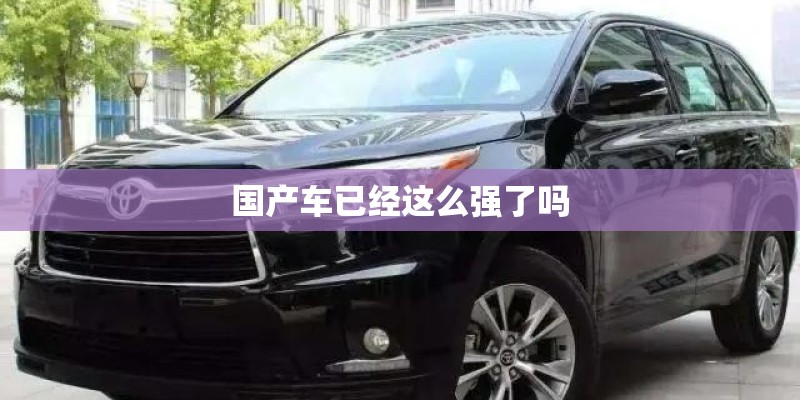 国产车已经这么强了吗