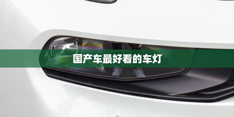 国产车最好看的车灯