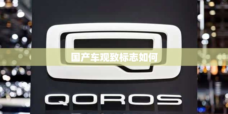 国产车观致标志如何
