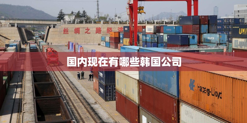 国内现在有哪些韩国公司
