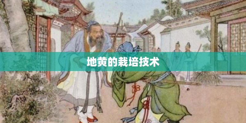 地黄的栽培技术