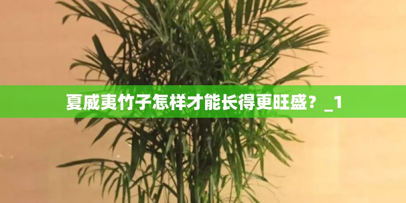 夏威夷竹子怎样才能长得更旺盛？_1