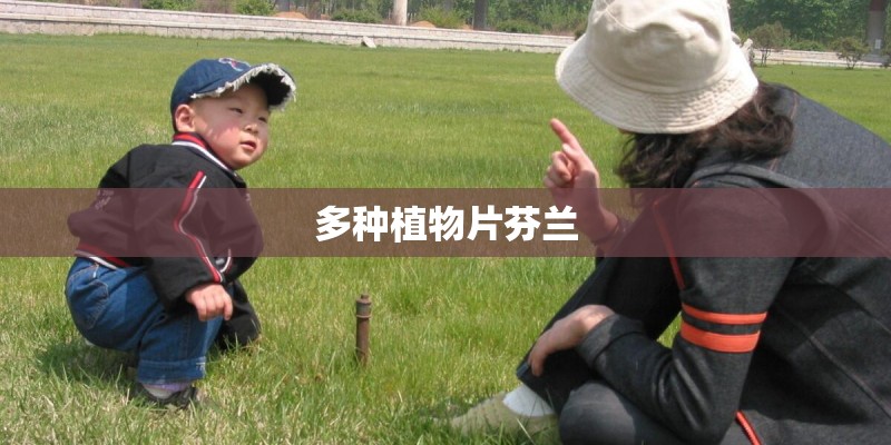 多种植物片芬兰
