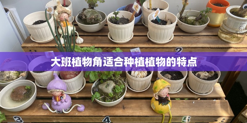 大班植物角适合种植植物的特点