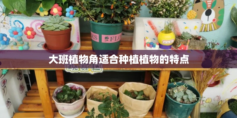 大班植物角适合种植植物的特点