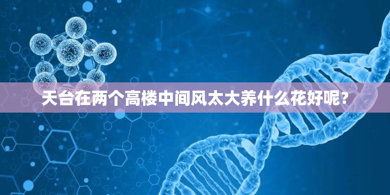 种植花朵的方法