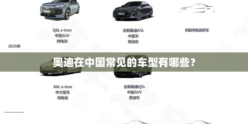奥迪在中国常见的车型有哪些？