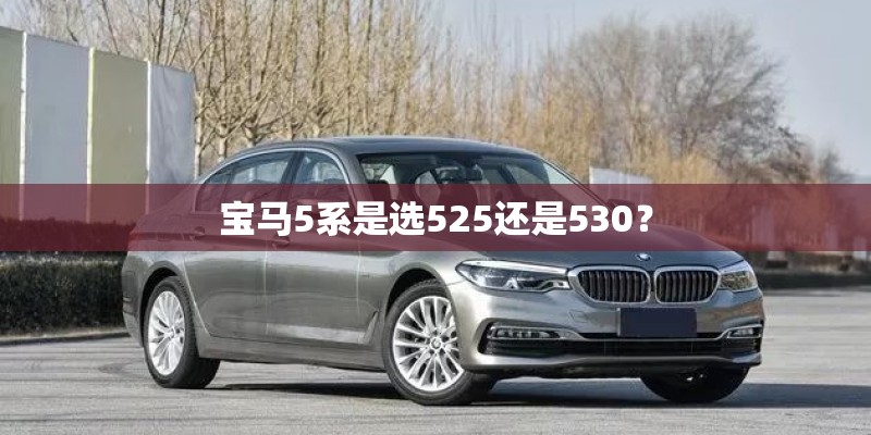 宝马5系是选525还是530？