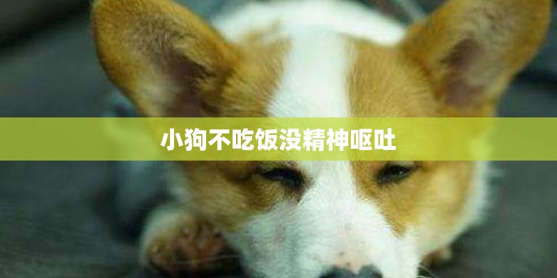 小狗不吃饭没精神呕吐