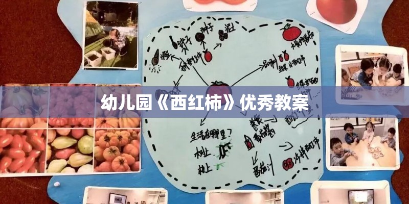 幼儿园《西红柿》优秀教案