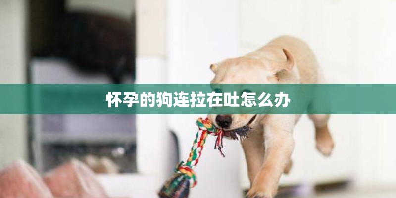 怀孕的狗连拉在吐怎么办