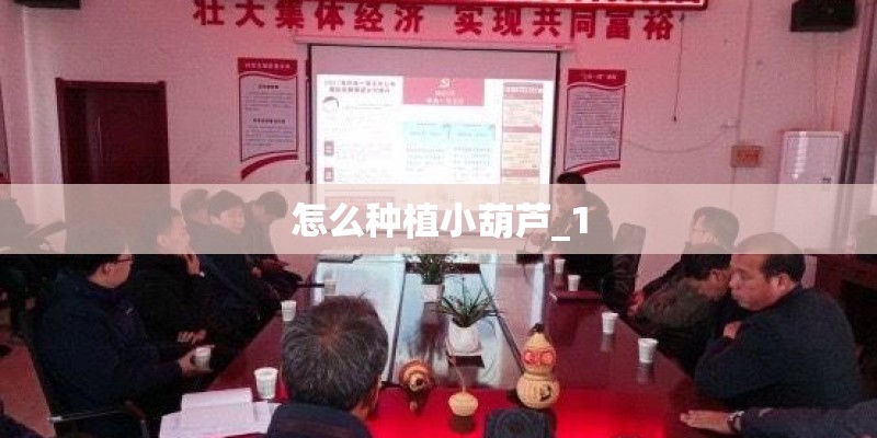 怎么种植小葫芦_1