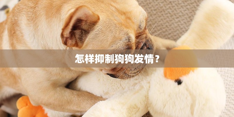 怎样抑制狗狗发情？