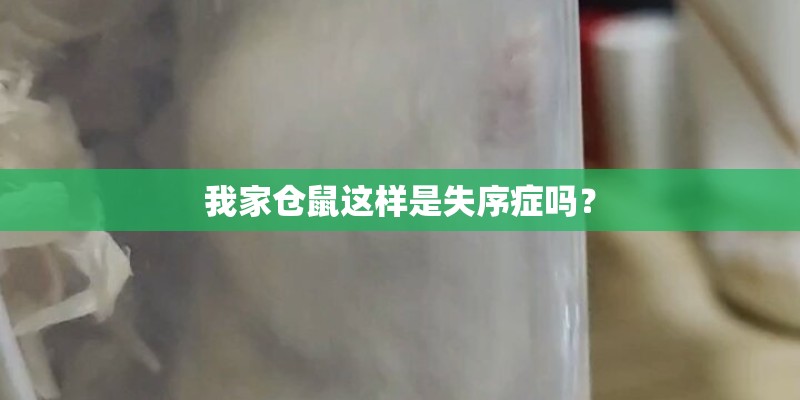 我家仓鼠这样是失序症吗？
