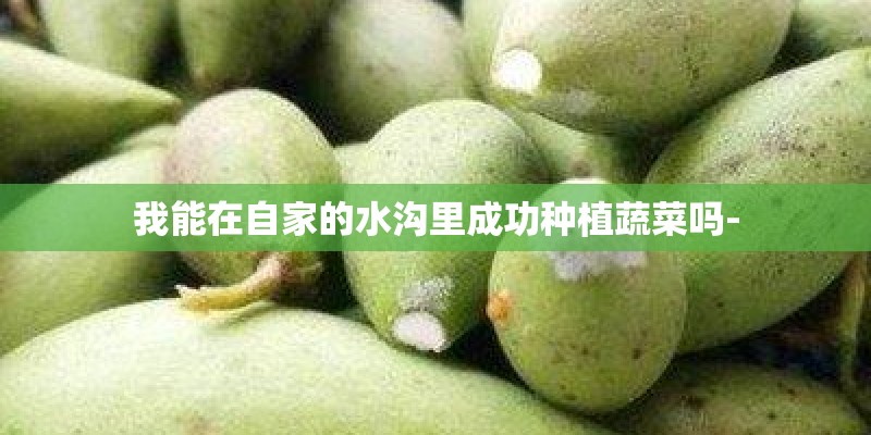 我能在自家的水沟里成功种植蔬菜吗-