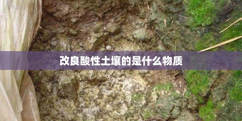 改良酸性土壤的是什么物质