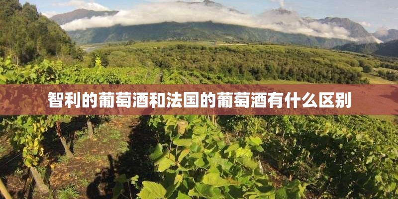 智利的葡萄酒和法国的葡萄酒有什么区别