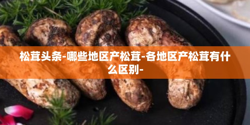 松茸头条-哪些地区产松茸-各地区产松茸有什么区别-