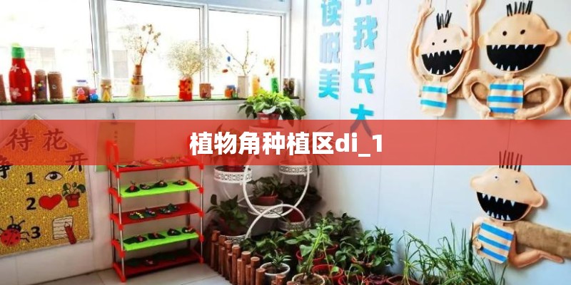 植物角种植区di_1