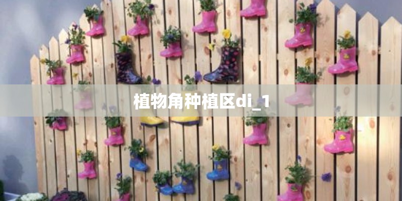 植物角种植区di_1