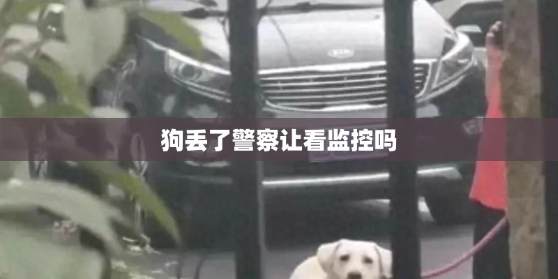 狗丢了警察让看监控吗