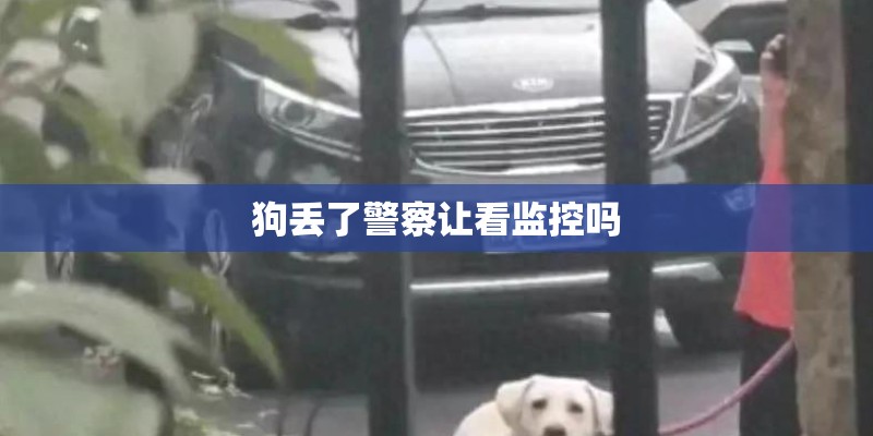 狗丢了警察让看监控吗
