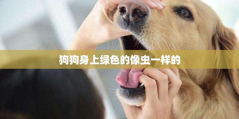 狗狗身上绿色的像虫一样的