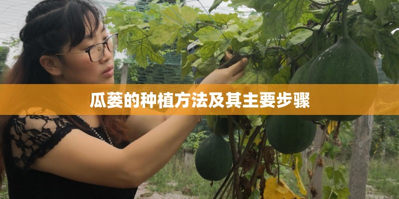 瓜蒌的种植方法及其主要步骤