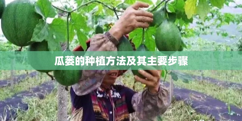 瓜蒌的种植方法及其主要步骤